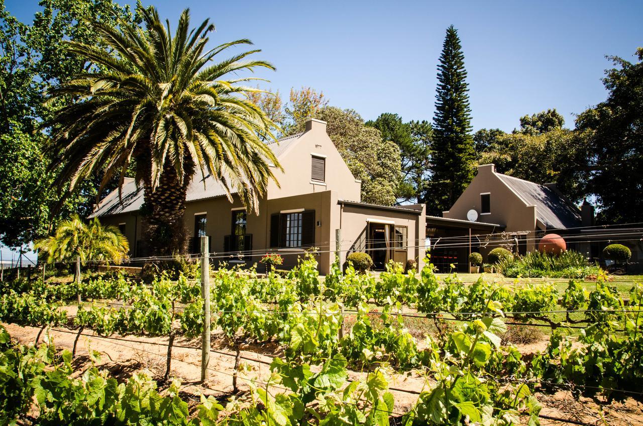 Lavinia Lifestyle Villa Stellenbosch Exterior photo