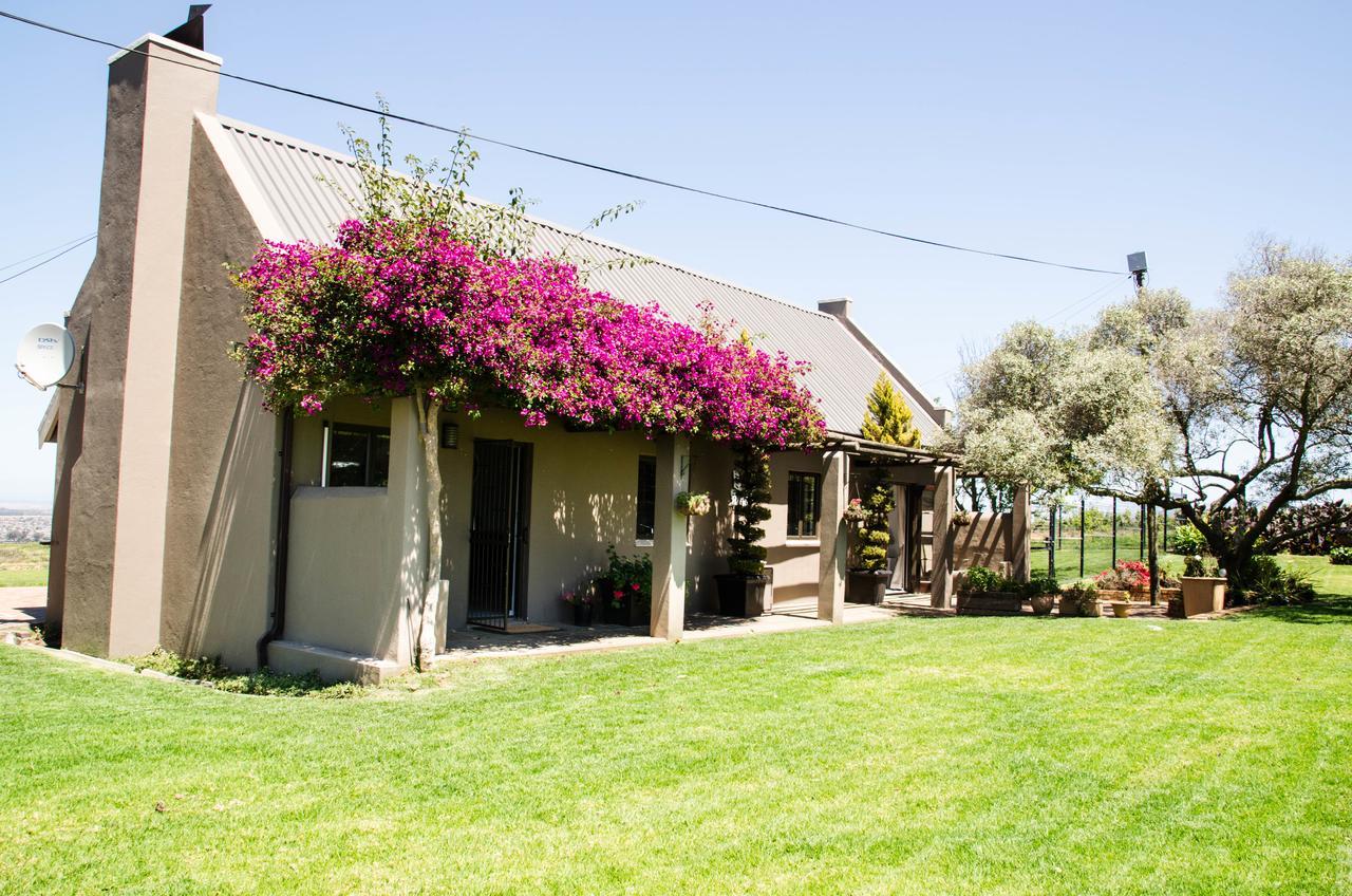 Lavinia Lifestyle Villa Stellenbosch Exterior photo